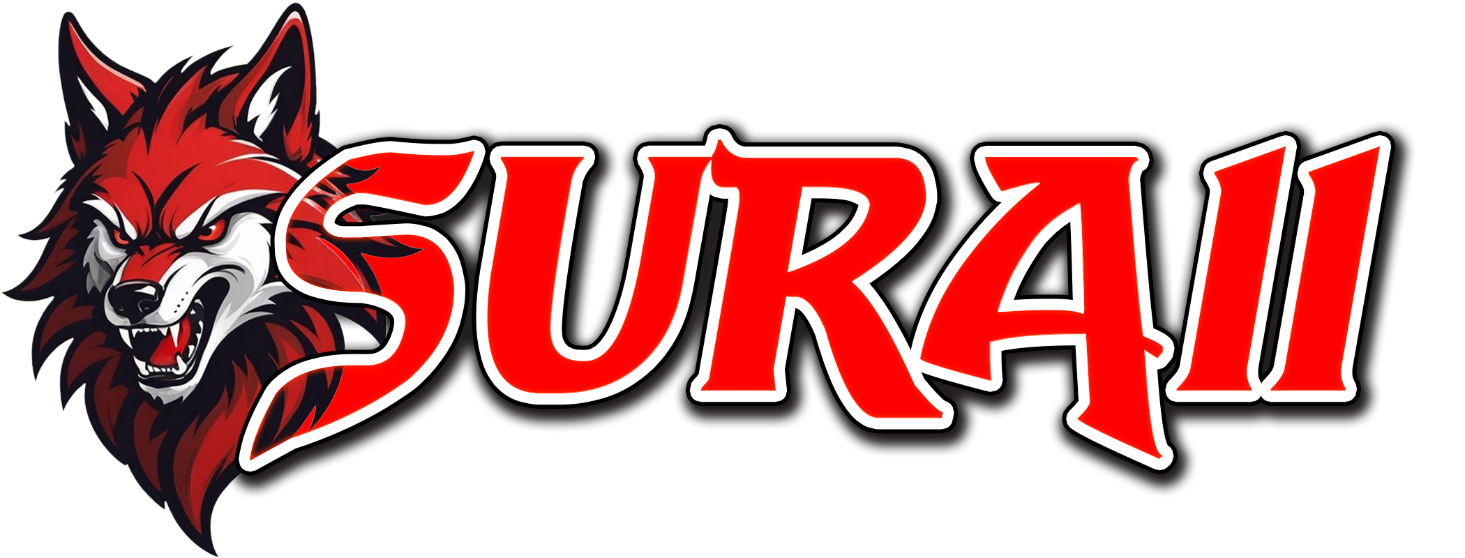 SURA11